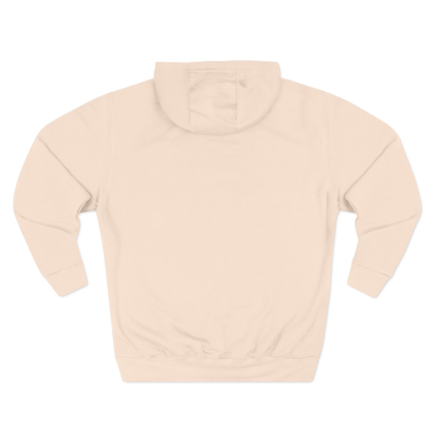 Embroidered Chest Giragon Hoodie